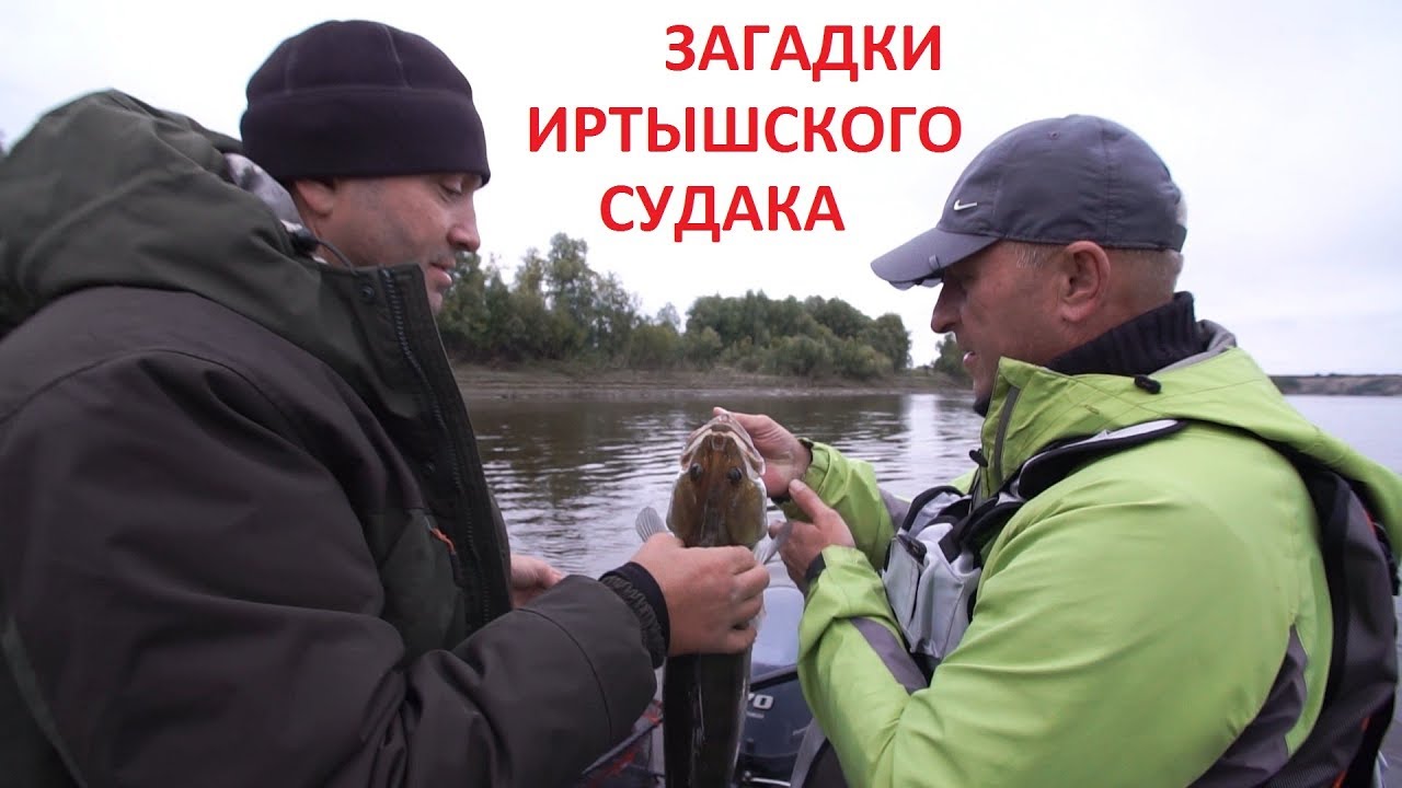 ЗАГАДКИ ИРТЫШСКОГО СУДАКА