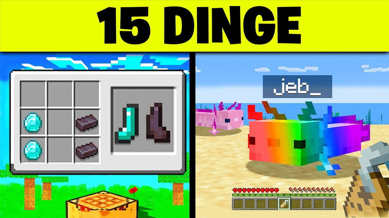 15 DINGE in MINECRAFT die nur PROFIS kennen!