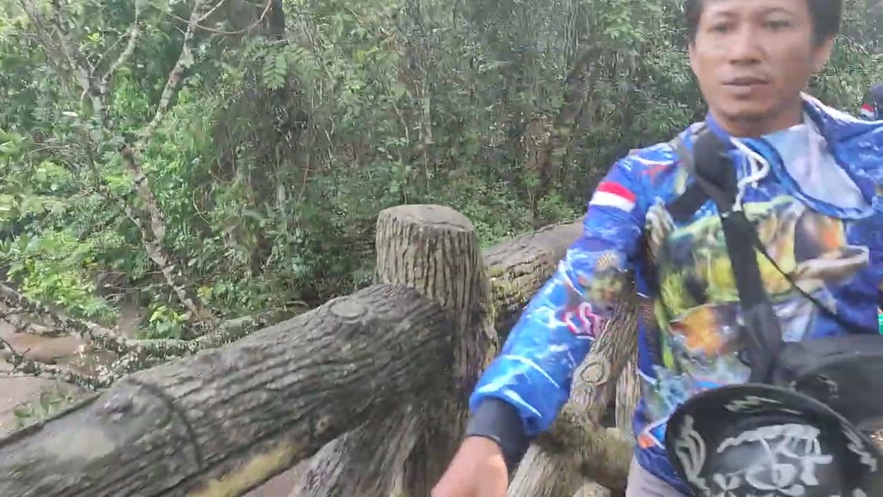 Extreme Journey to the Predator Fish Fishing Spot