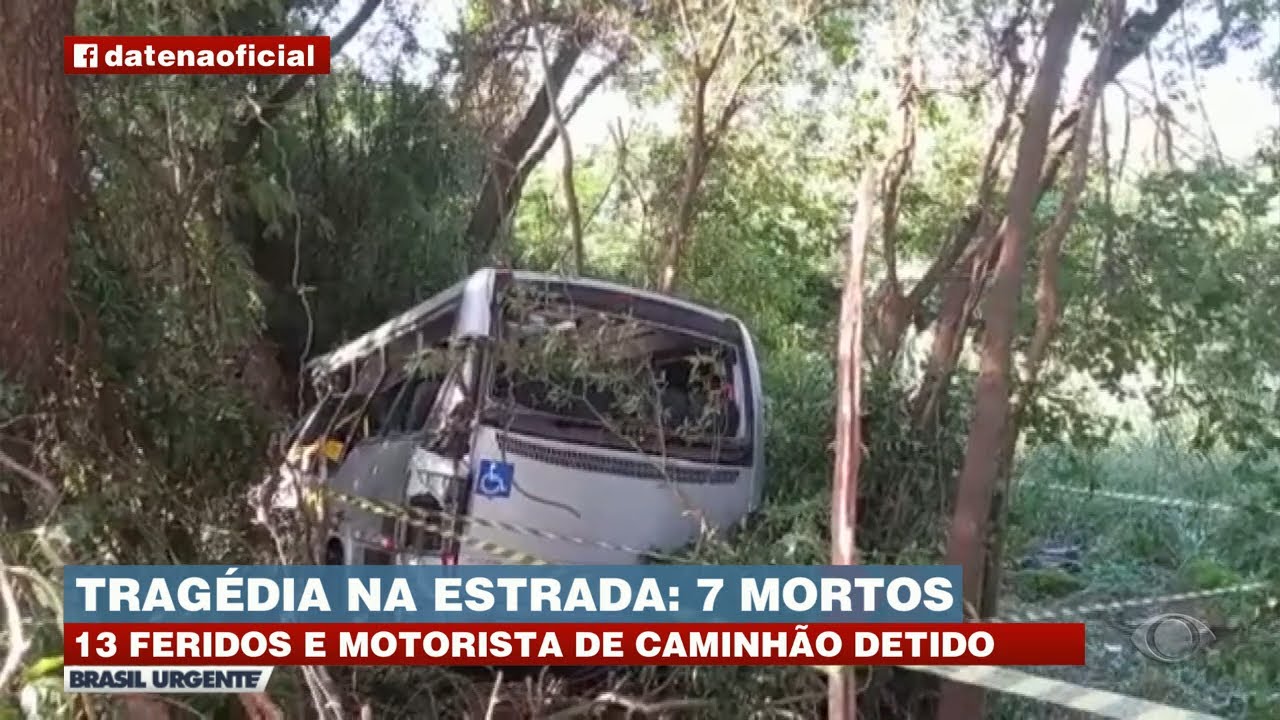 Tragédia na estrada: 7 mortos