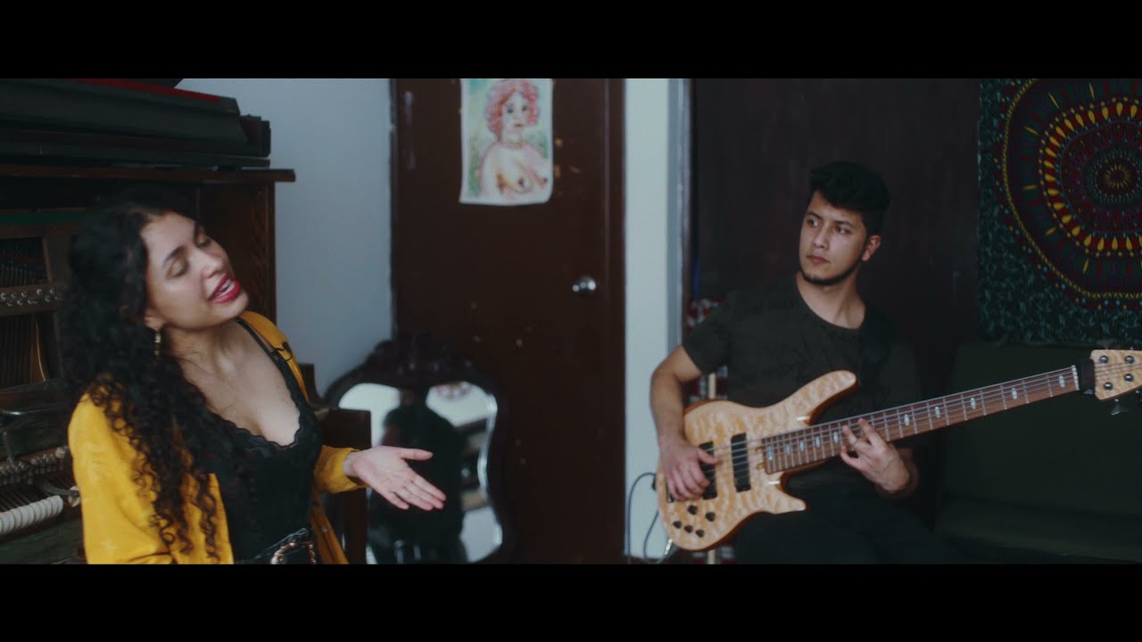 &Aacute;rboles - PAZZ
