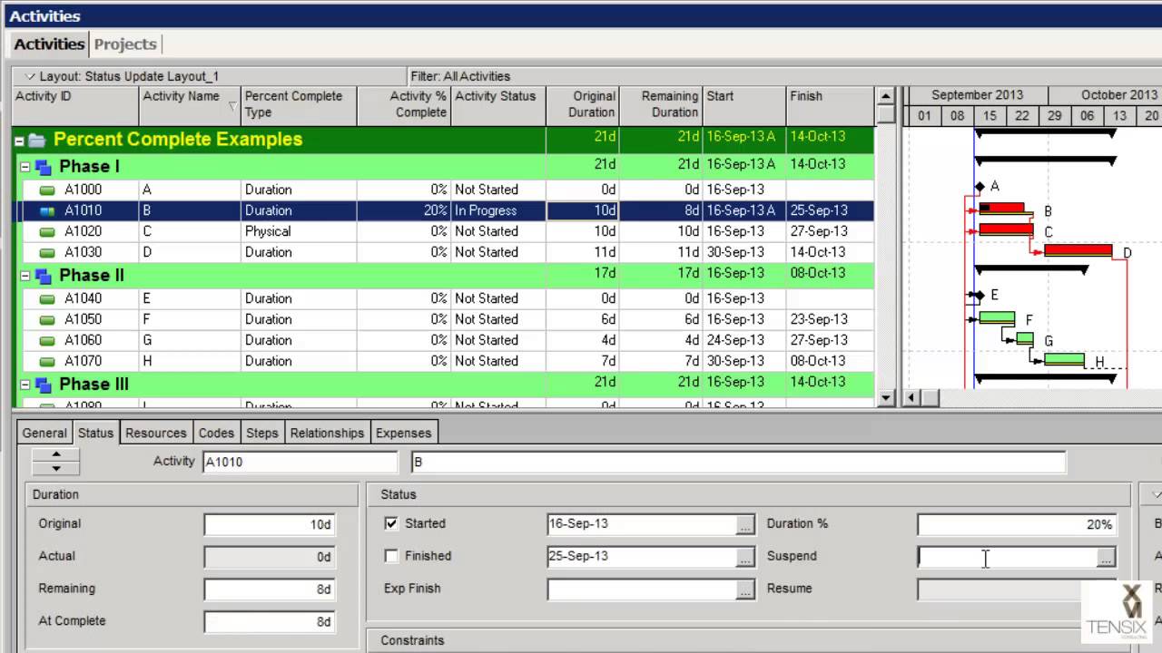 Primavera P6 Percent Complete Types