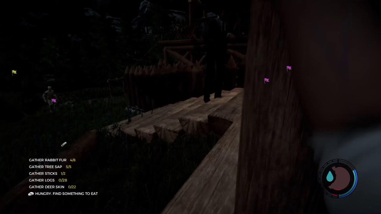 The Forest whats up
