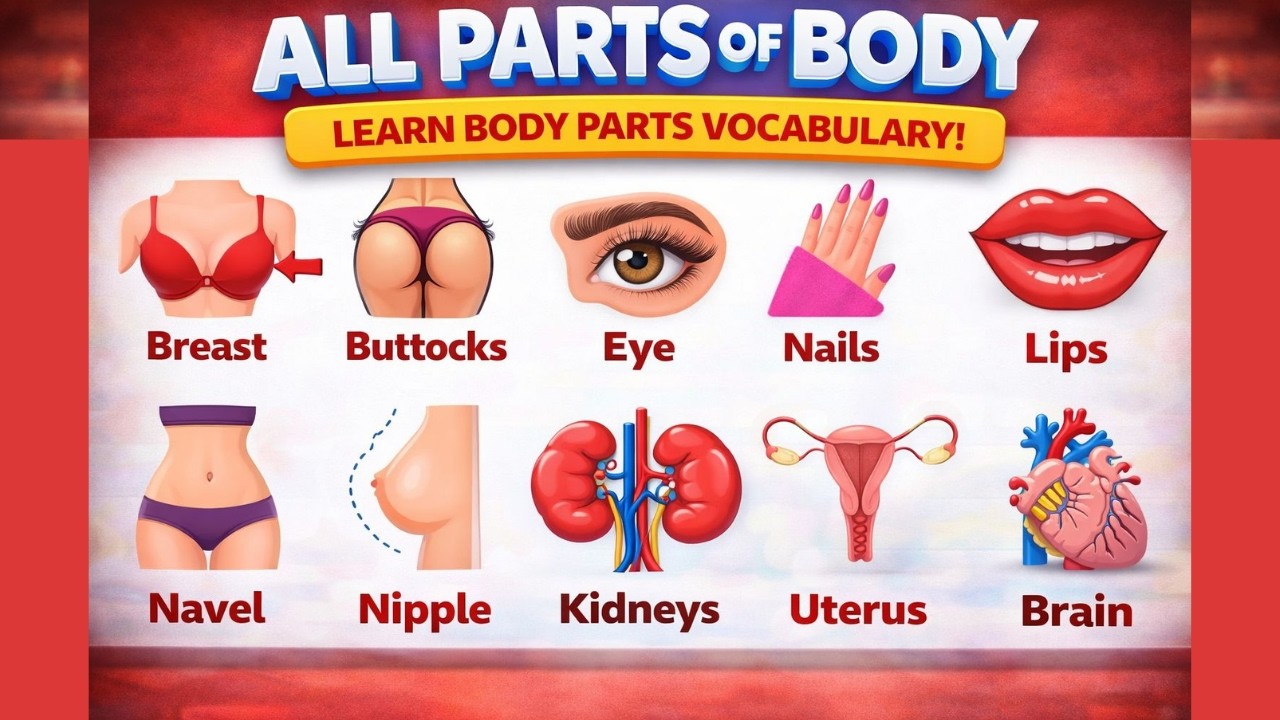 👤📚 Learn Body Parts Names in English
