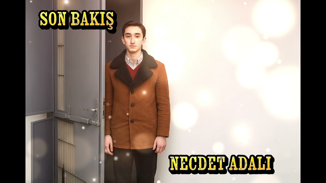 Son Bakış #music #cinematic #cover 