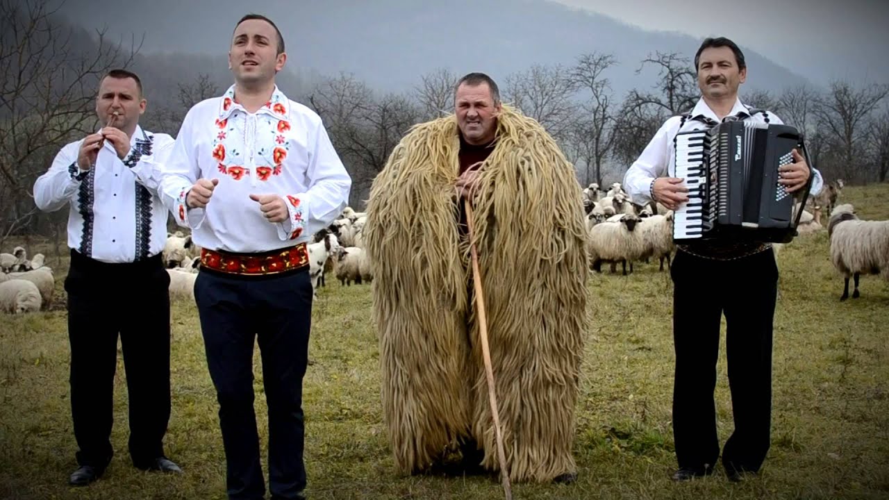 Cosminut Ardelenu  -   Apuseni pamant de dor
