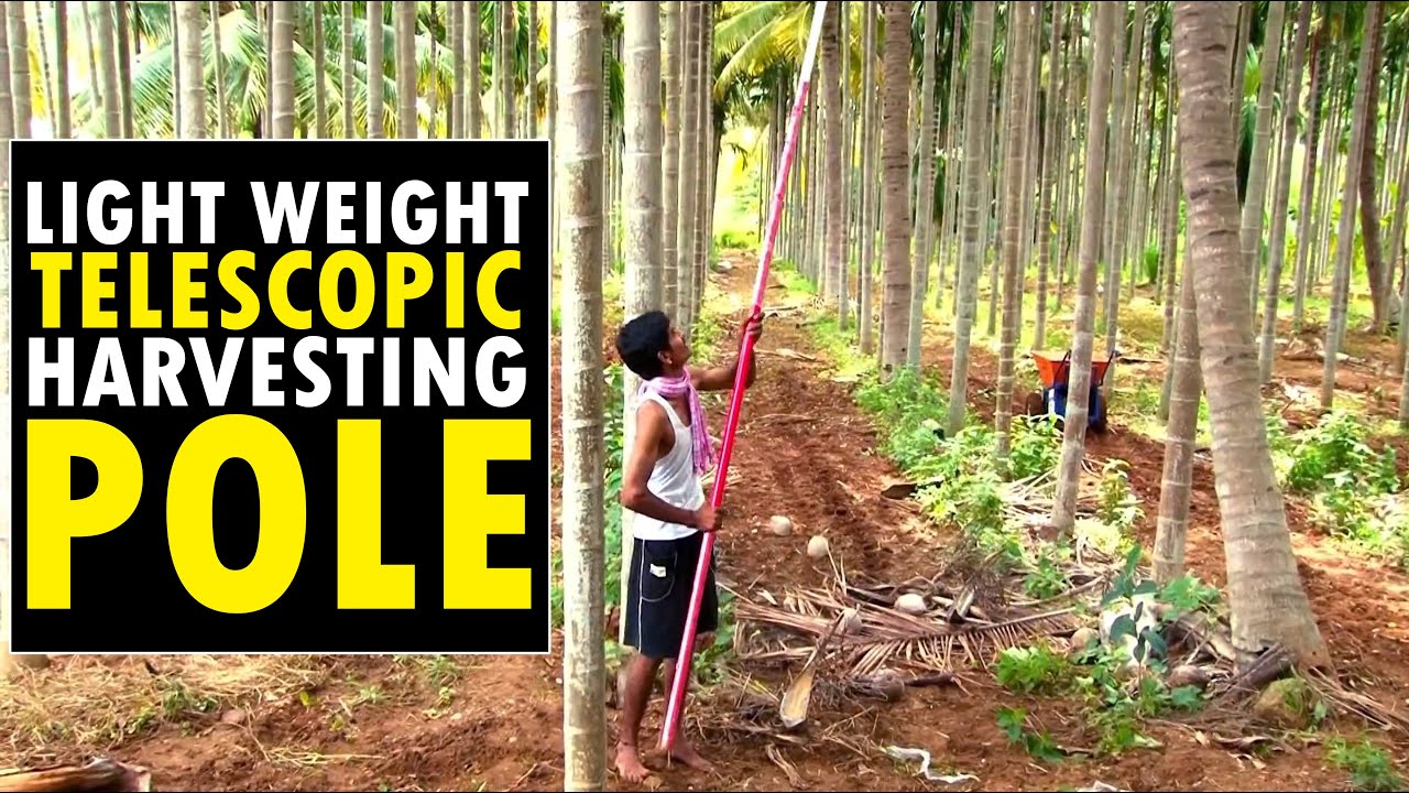 Areca nut and Coconut Harvesting Pole | Fruit Harvesting Pole