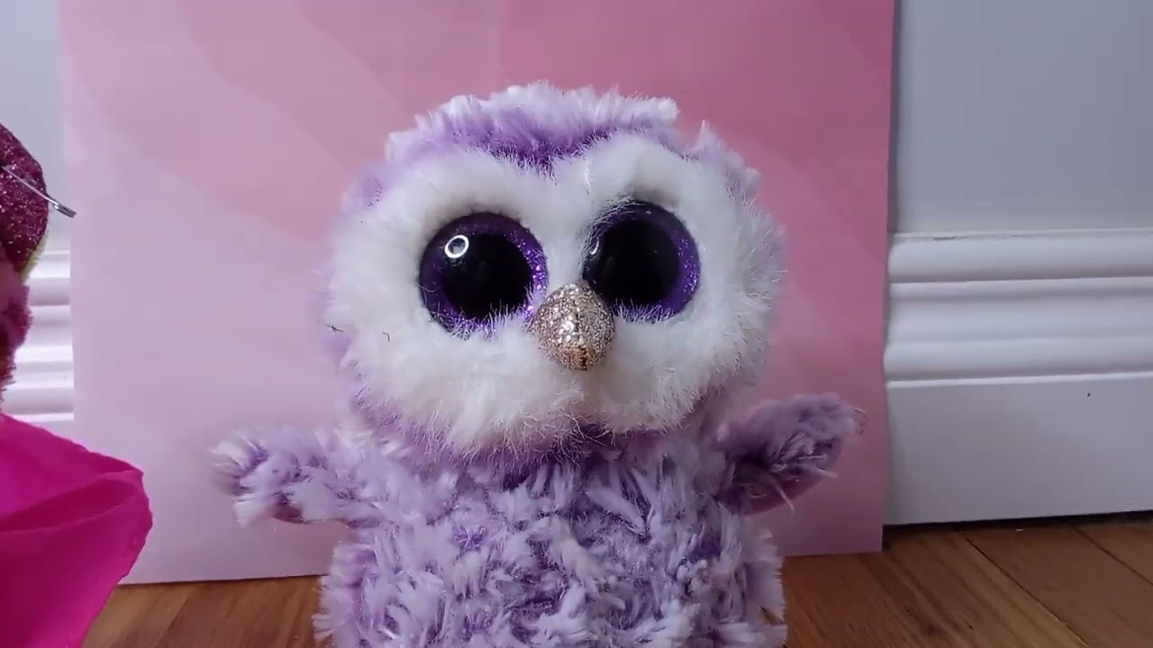 My friend gave me beanie boos