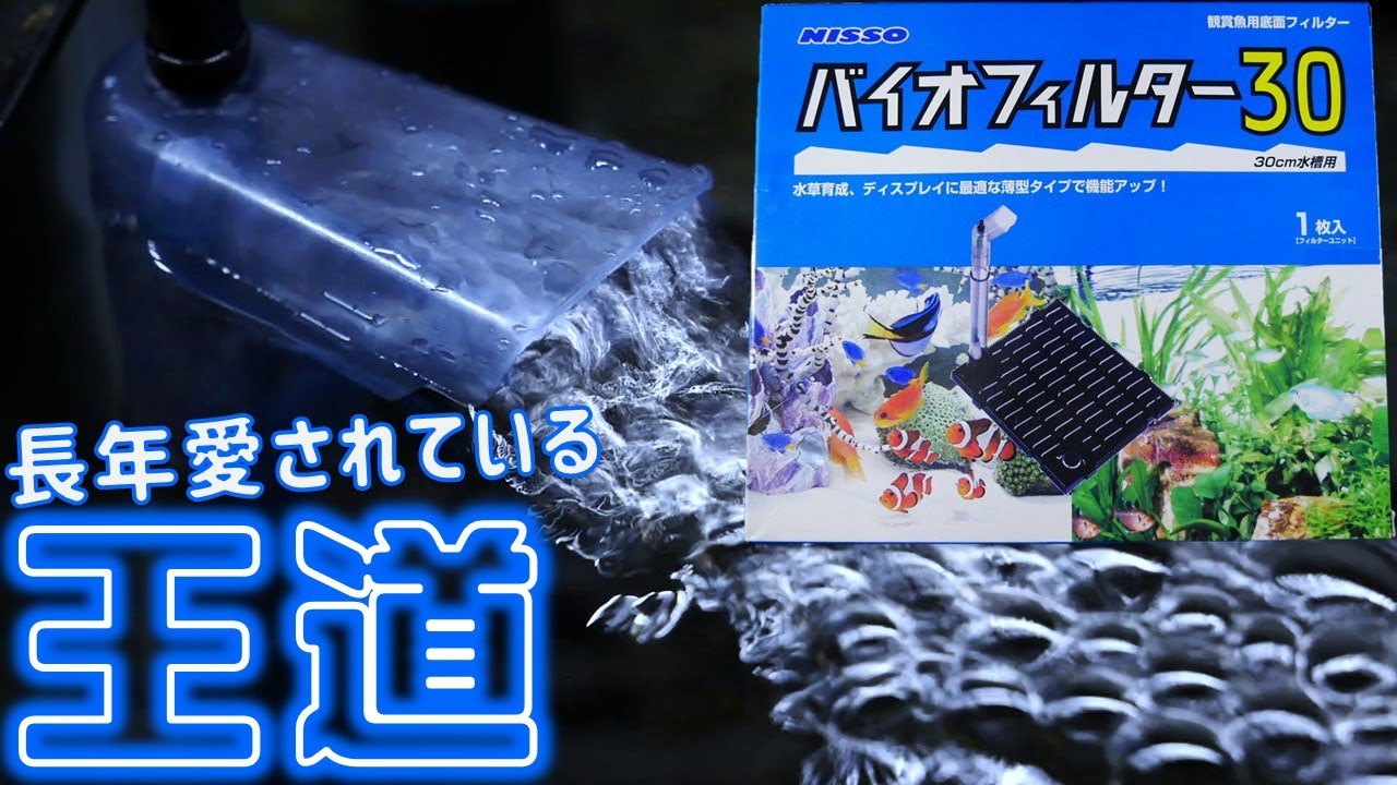 【底面式フィルター】昔からある定番品で、底面式デビュー！広角吐出口で、音が静かになりました。ニッソー バイオフィルター30【ふぶきテトラ】