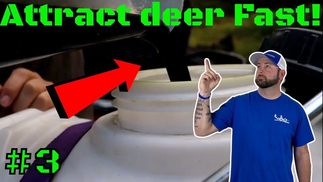 The Most Powerful Way To Attract Deer! #3