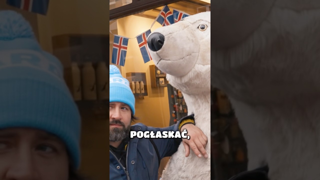 Można pogłaskać ? 🧸😜 #vlog #islandia #viral #senseikonrad #dlaciebie