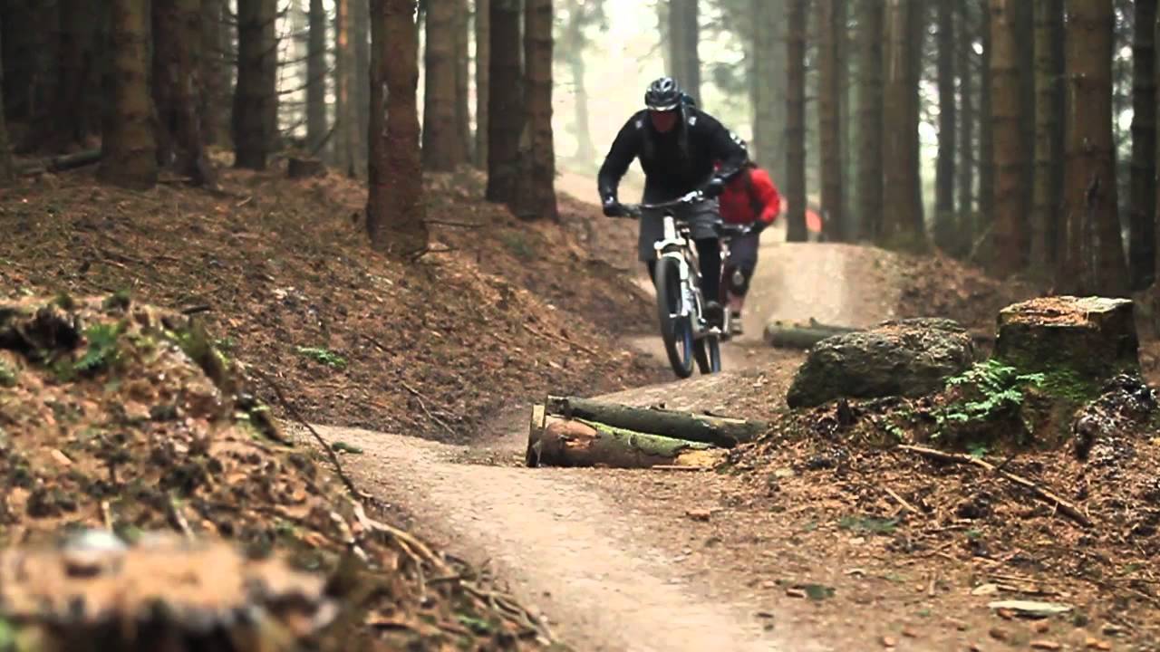 Mountain Biking at Coed Llandegla, North Wales.