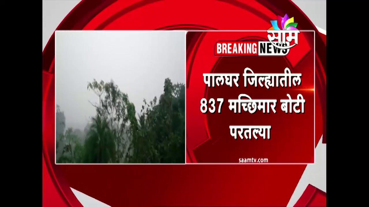 Ockhi Cyclone effect : Rains in Palghar
