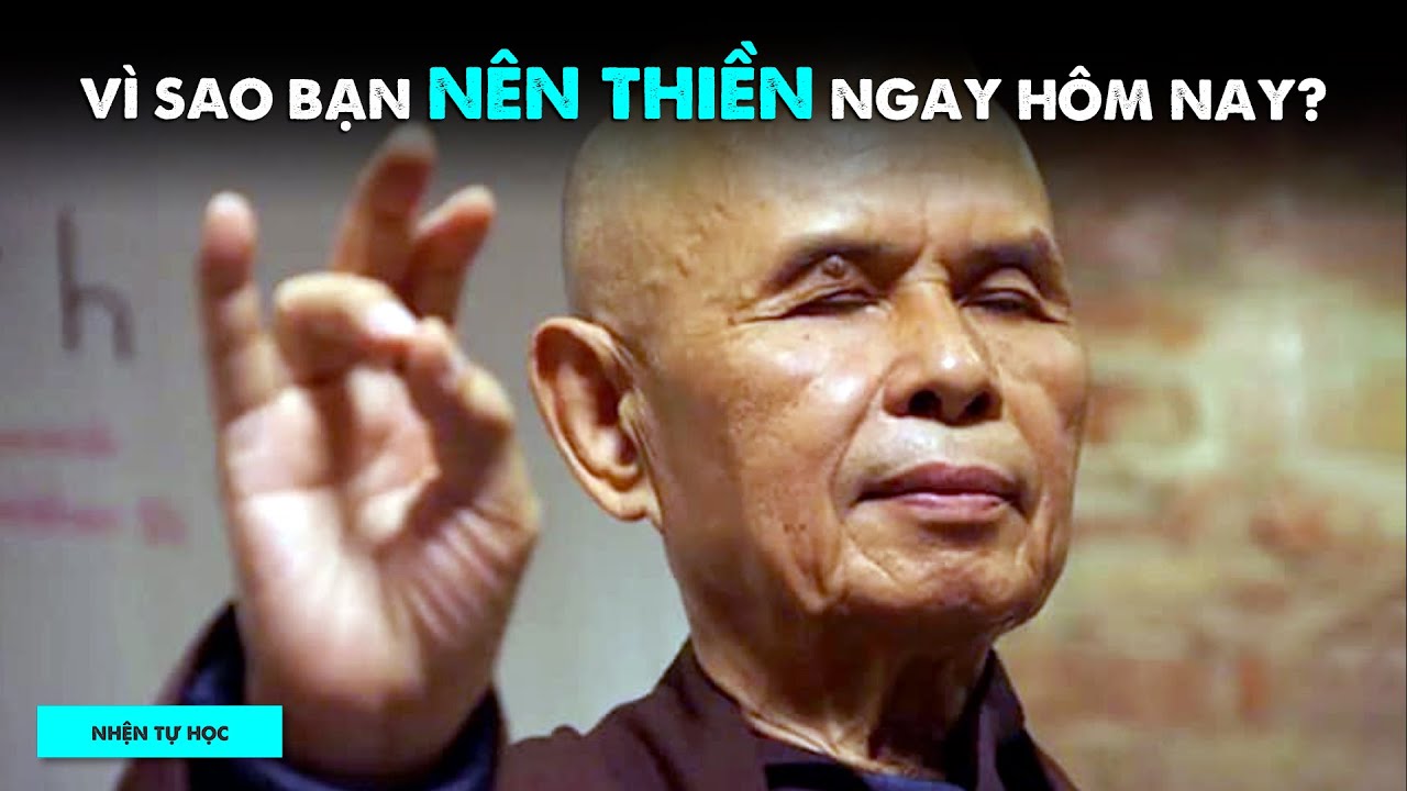 Vì sao nên THIỀN để CHỮA LÀNH CẢM XÚC? | Mystic Cat Lady | KHOA HỌC