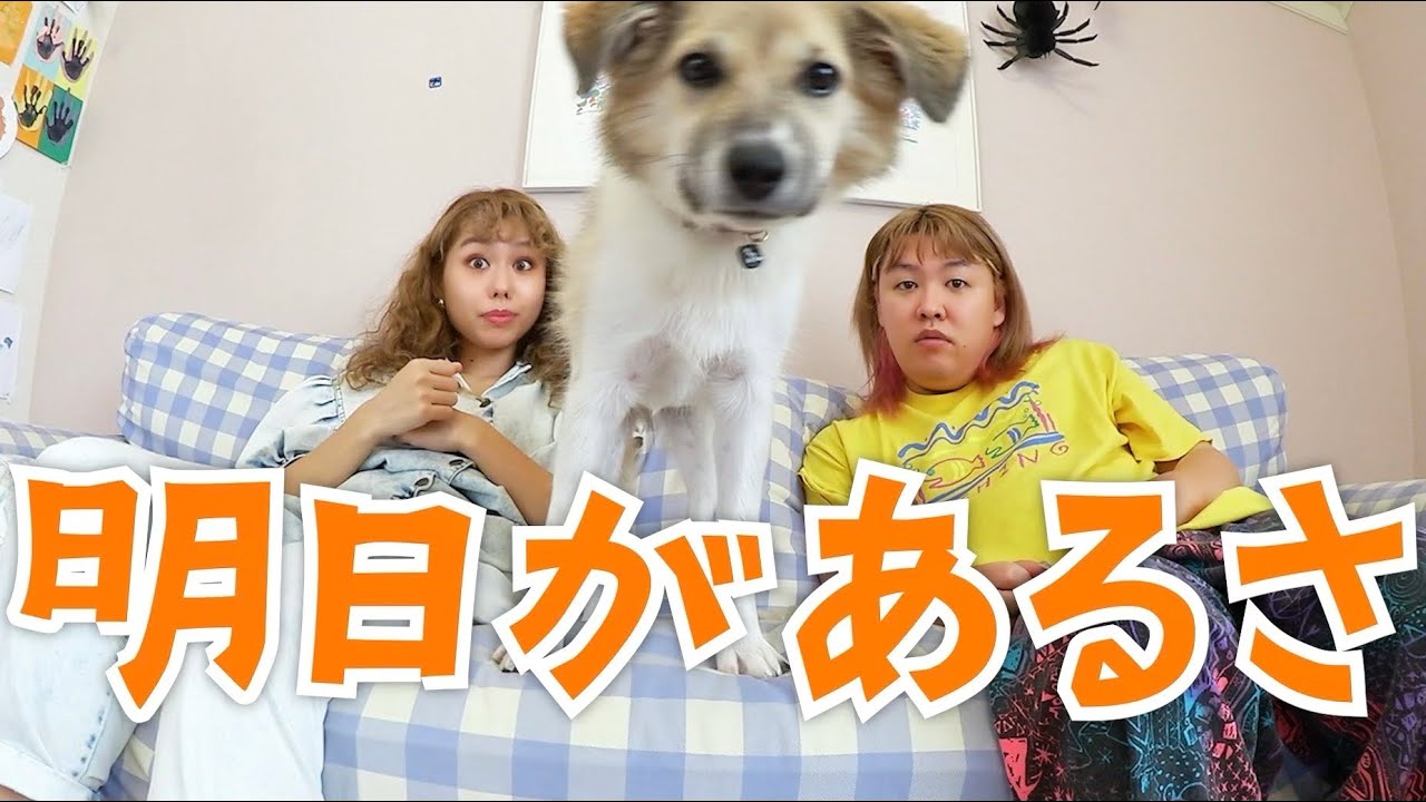 【peco＆ぺえ】ぶっちゃけ白か黒かはっきりしたい