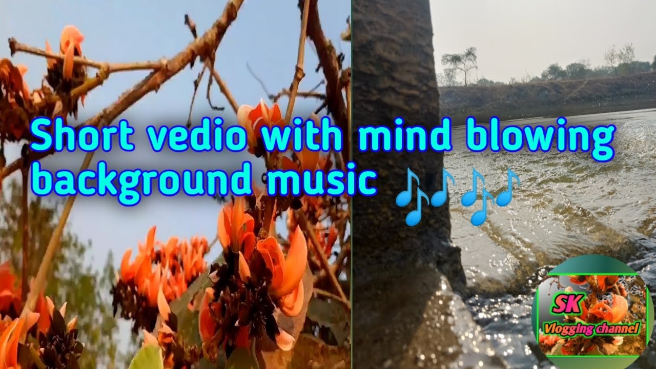 Short vlogs vedio !! Whatsapp status !! SK Vlogging channel