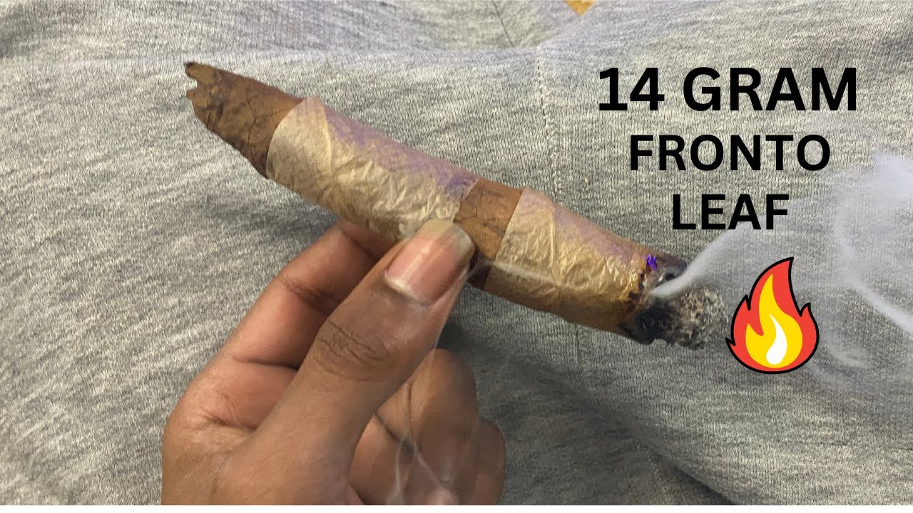 ROLLING UP A HALF OZ FRONTO LEAF TO THE FACE 🍃😈
