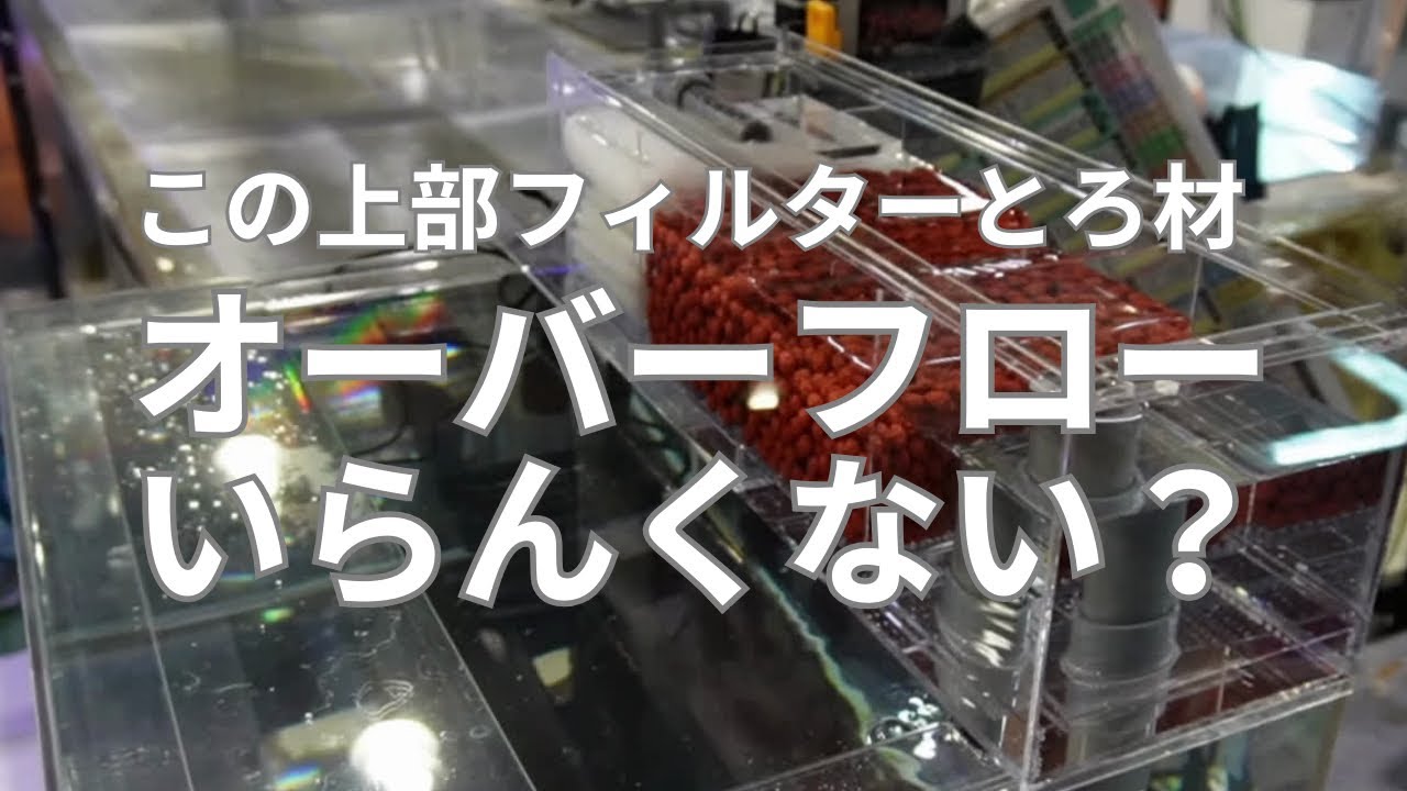【ディスカス学校飼育部#4】ディスカスにとって一番適切なフィルターはどれ？店のディスカス水槽に使用しているオリジナル上部フィルターなどをご紹介します。 #アクアリウム #上部フィルター #熱帯魚