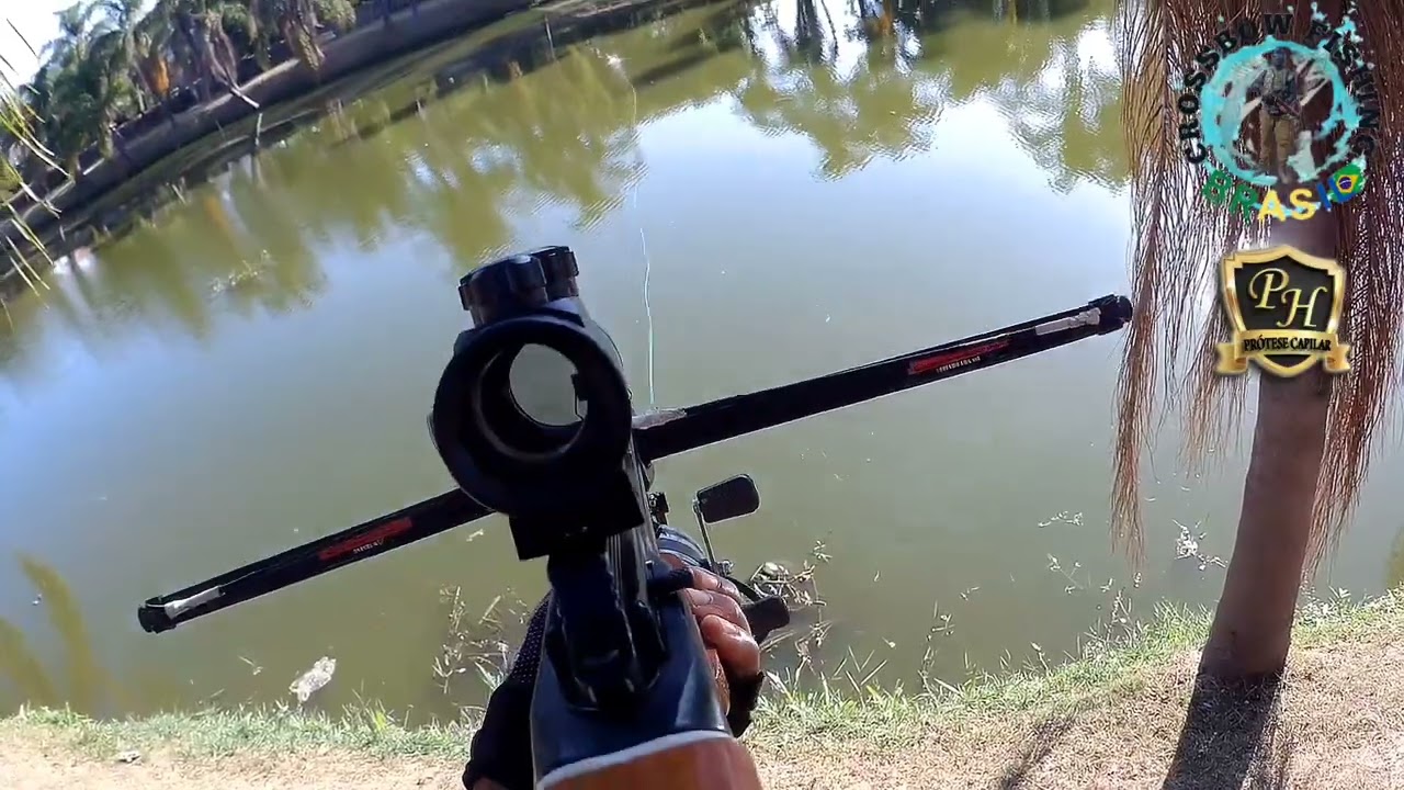 fui testar as flechas que fiz e o resultado foi impressionante na pesca com #Balestra #crossbow