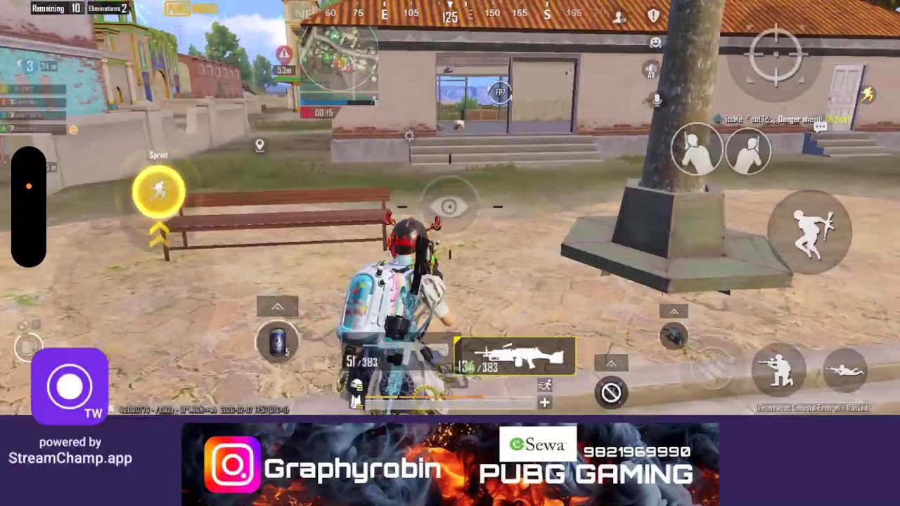 Graphy Robin Live Stream