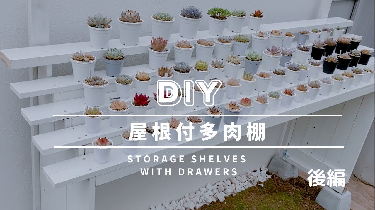 【DIY】居場所が無かった多肉植物に屋根付き多肉棚を作る/後編【エケベリア】