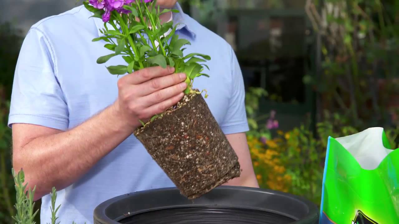 How to Pot a Plant with Use Potting Mix