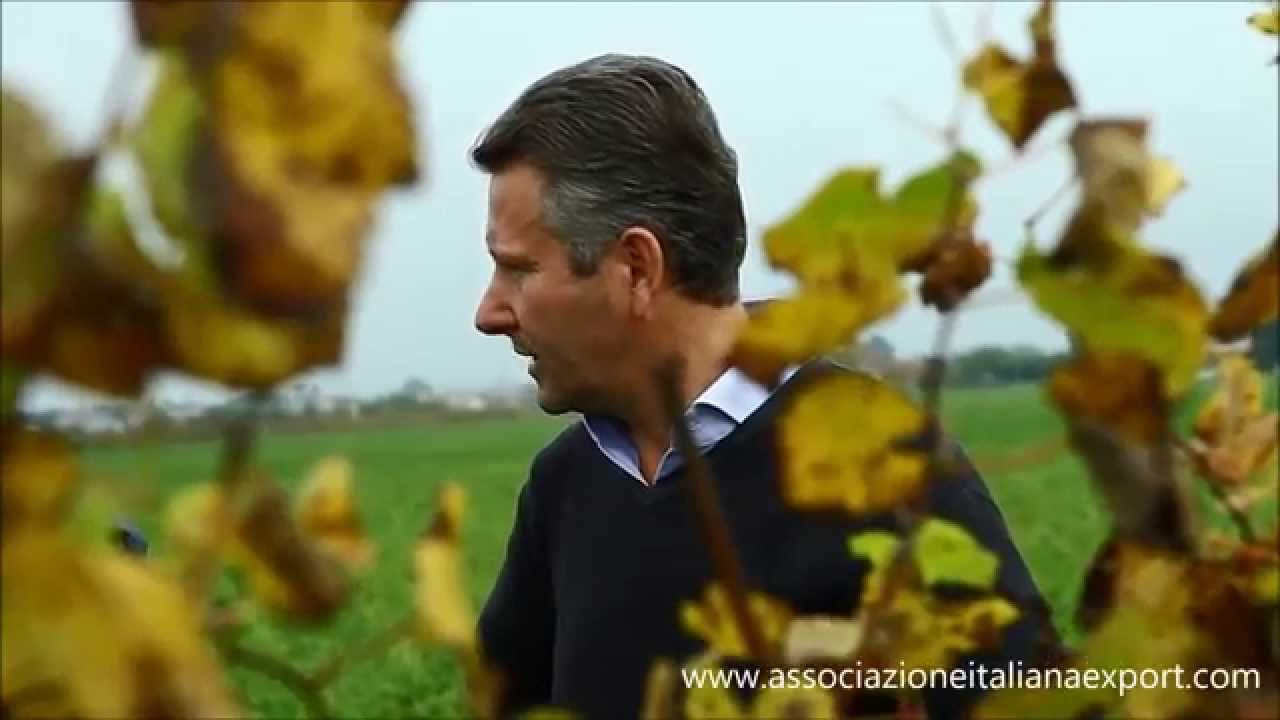 Vie di romans