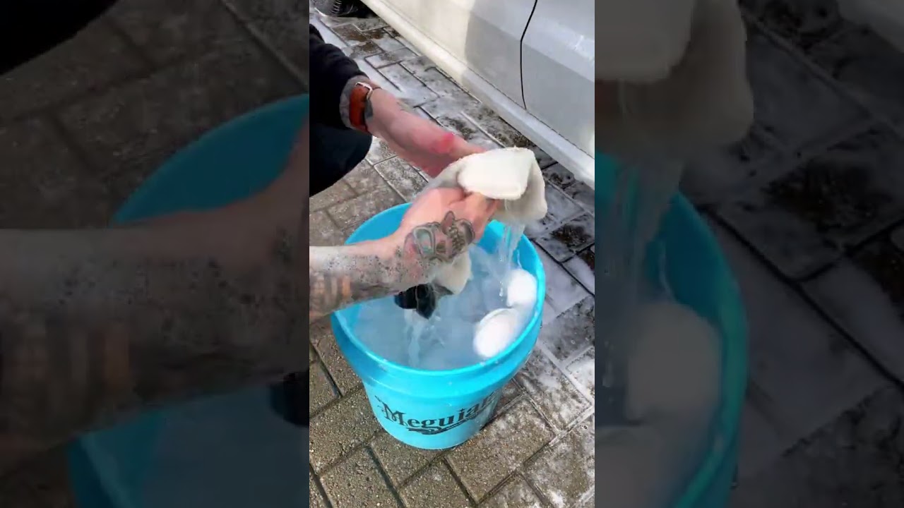 Meguiar's Grit Guard - SAVE YOUR PAINT