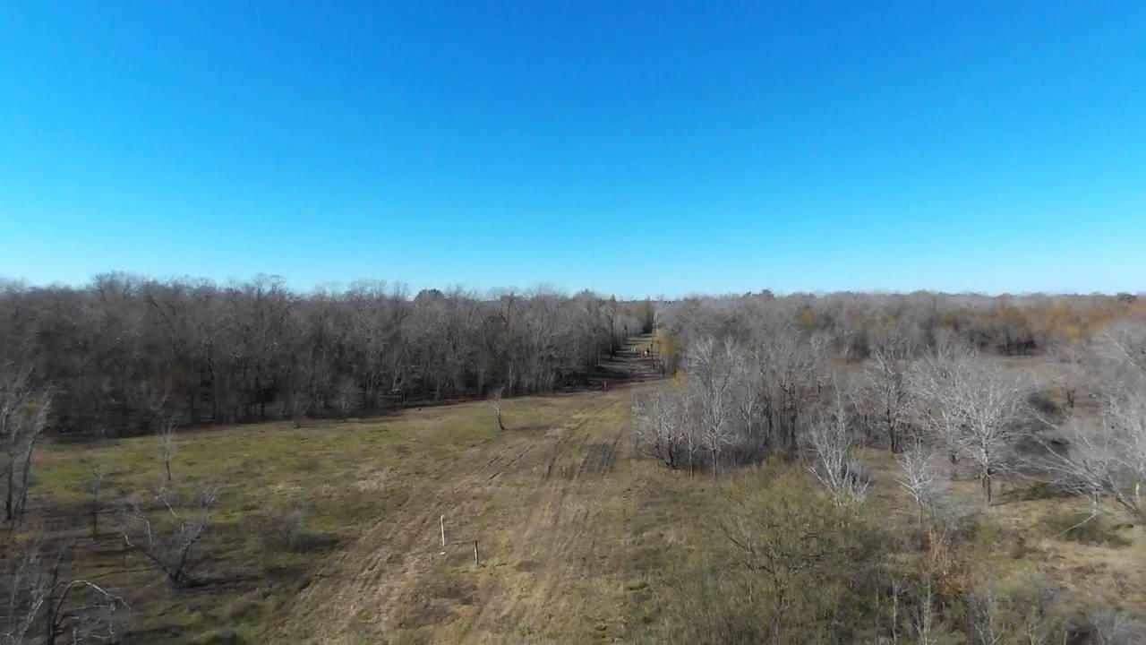Drone at George Bush Park II
