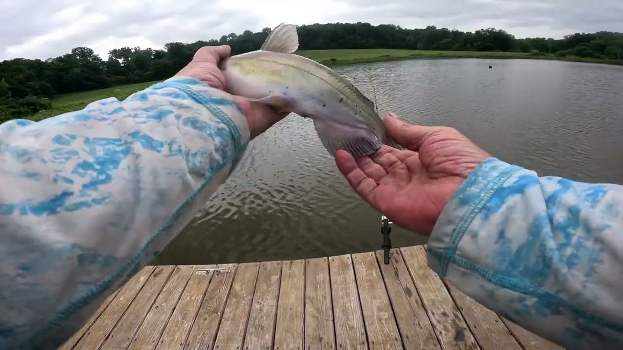 The Best of times Catfishing
