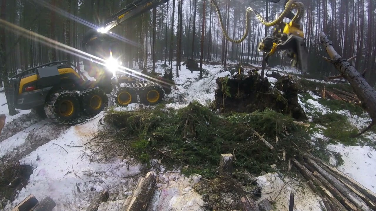 Tuulenkaatoja korjaamassa Skorpparilla