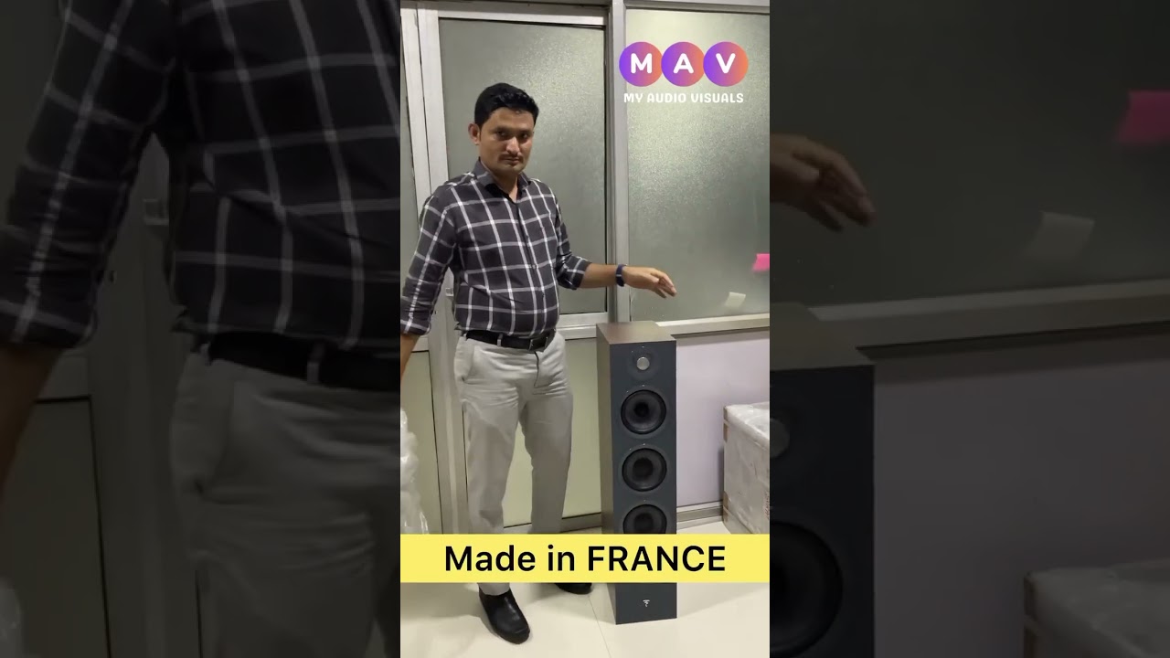 Focal Chora 826 made in France Tower speaker.