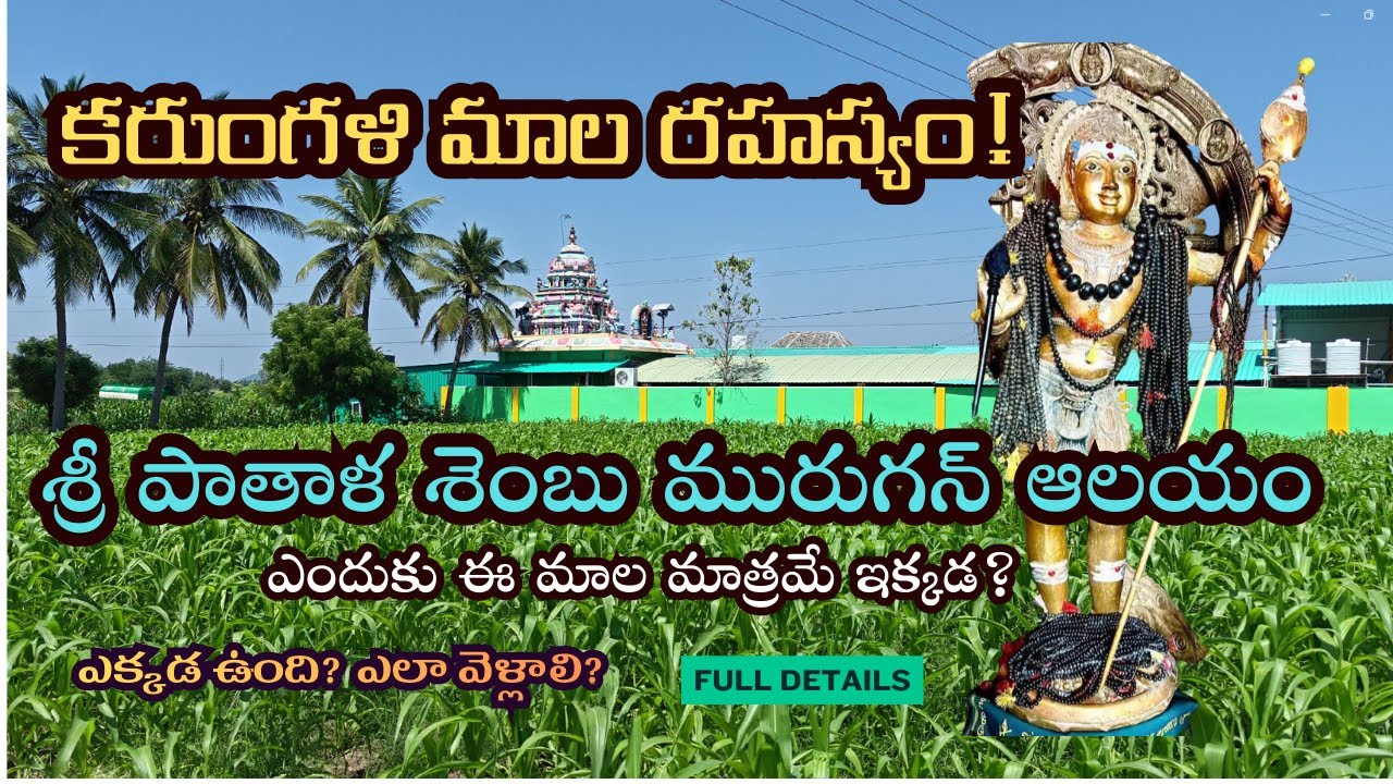 పాతాళ శెంబు మురుగన్ ఆలయం | కరుంగళి మాల శక్తి & చరిత్ర || Rare Temple in Tamil Nadu