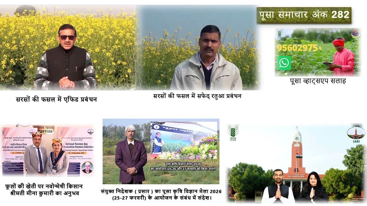 पूसा समाचार अंक 282  Pusa Samachar Episode 282