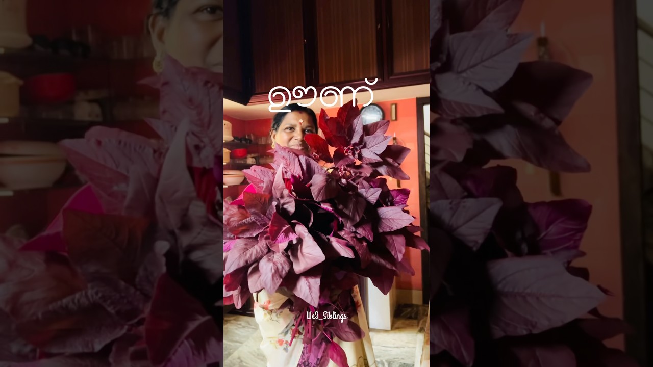 Today's meal#oonu#nadan#lunch #today#keralameals#cooking#homelyfood#sunday#special#yummy#fishitem#oh