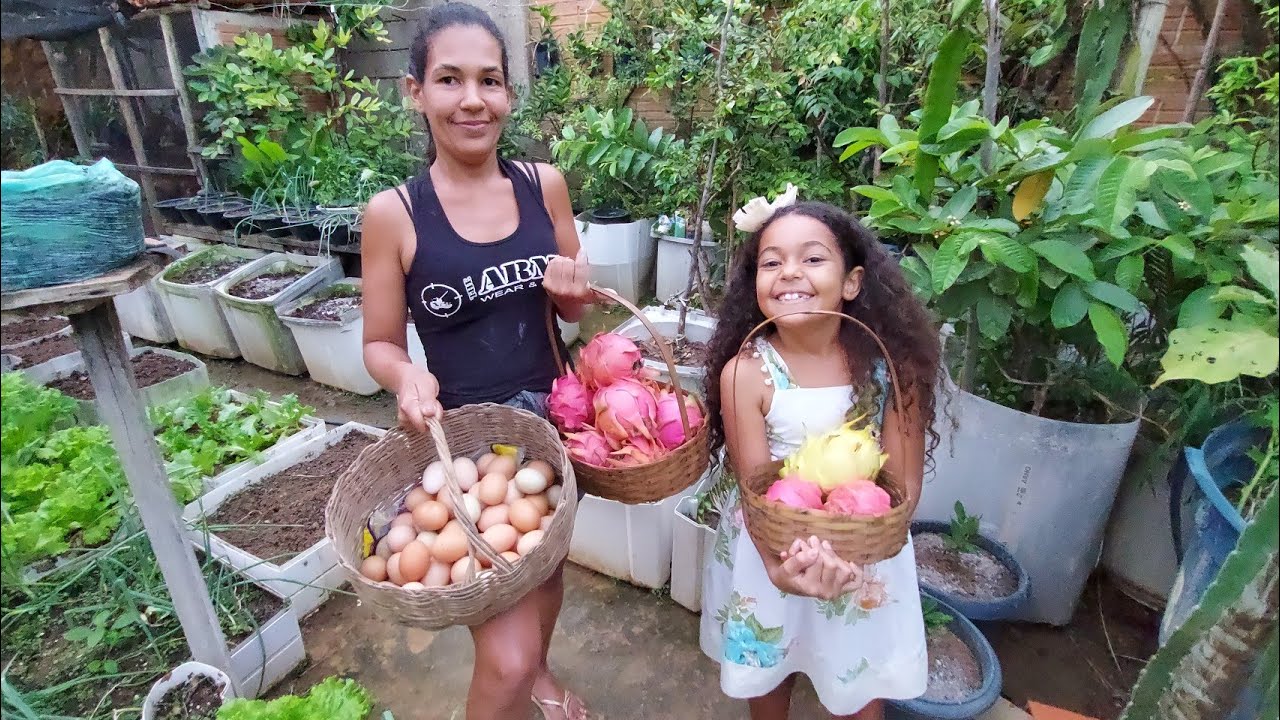 Horta frutas e galinha, na cidade nunca mais fui a feira