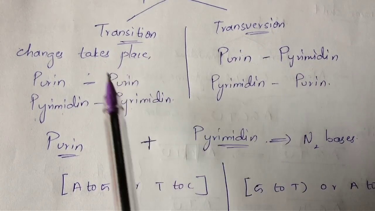 POINT MUTATION||BY PHANINDRA GUPTHA