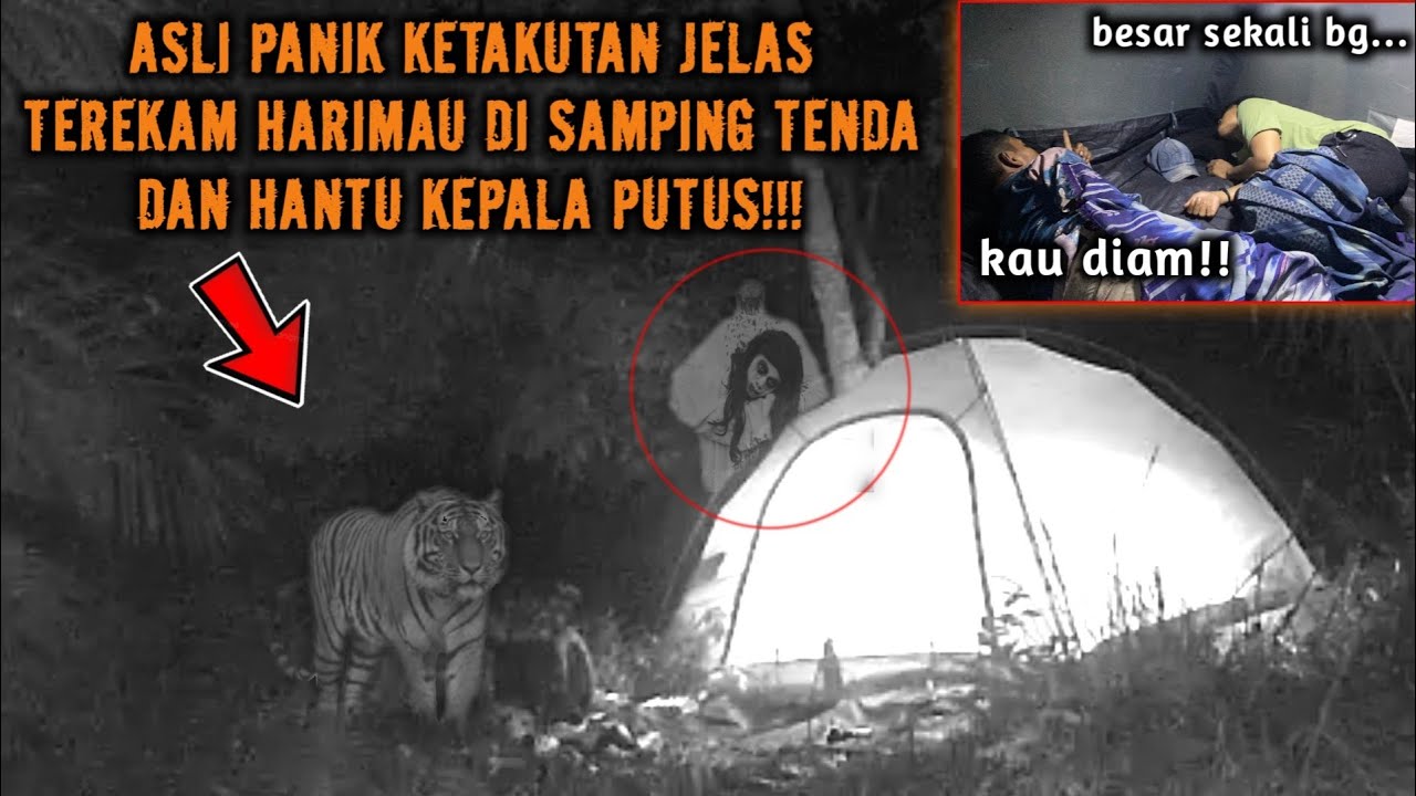 CAMPING HOROR APES BANGET DI SAMPERIN HARIMAU TEREKAM ADA HANTU TANPA KEPALA JELAS DI CCTV!!!