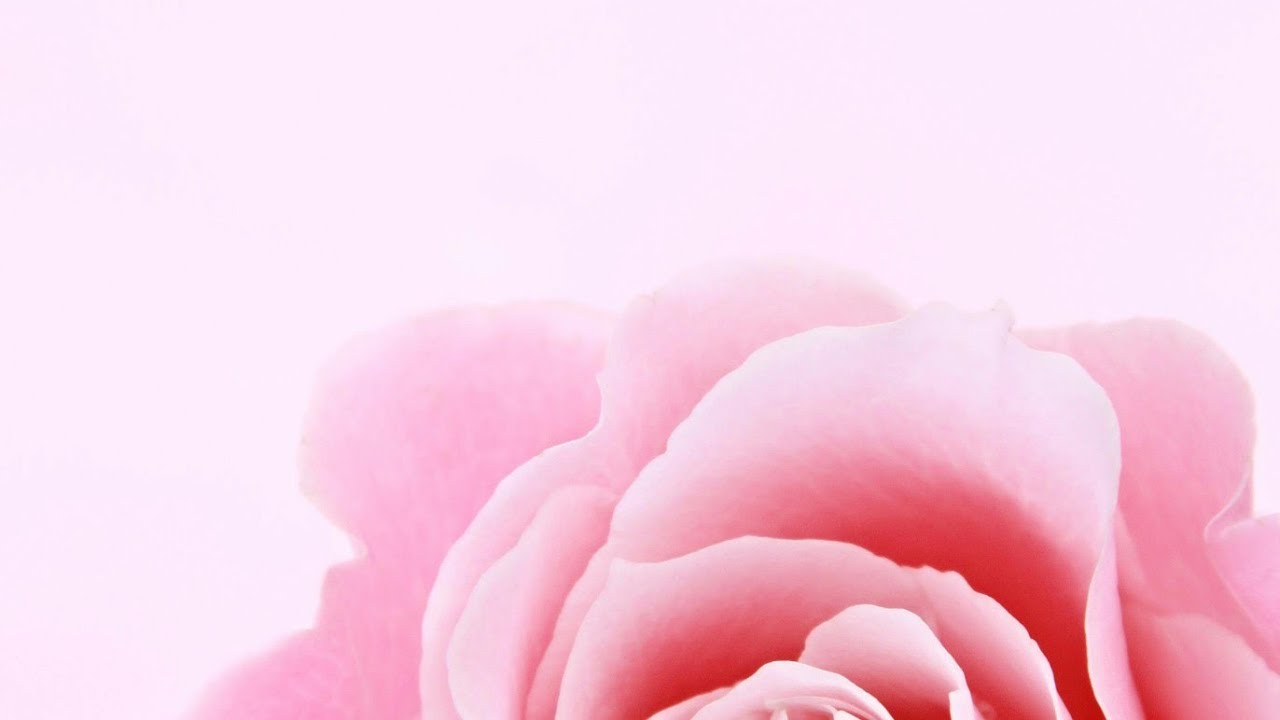 Cover-Juan Luis Guerra & Bachata 🌹 Rosa(la fábrica de canciones)