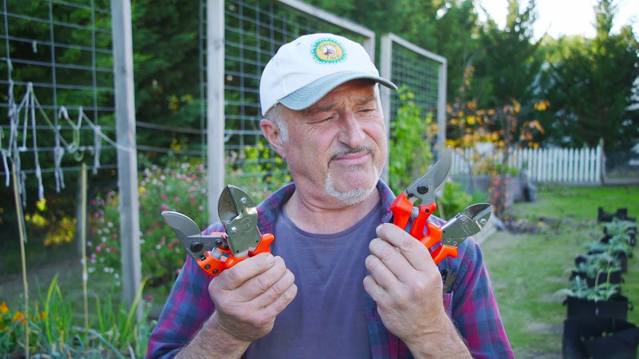 Секаторы с наковаленкой и обходные секаторы — какой лучше?