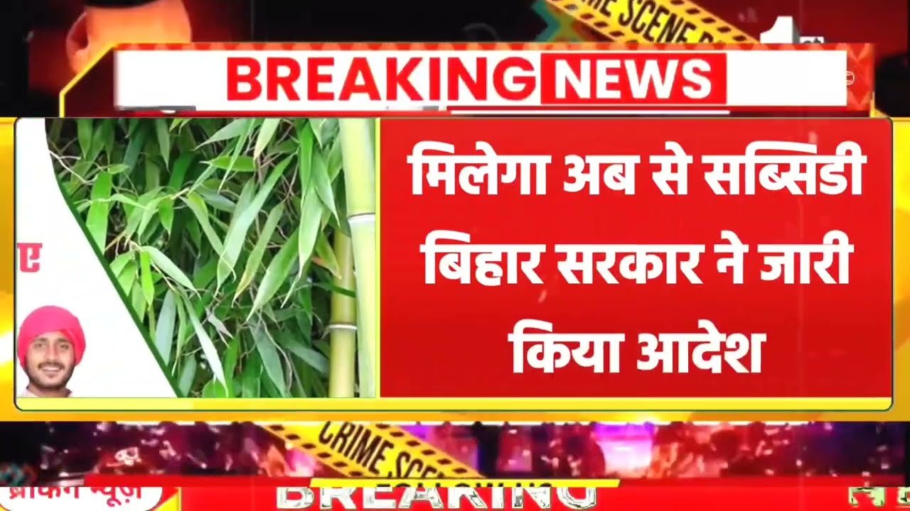 16 February 2026 | Bihar Ki 25 Badi Khabrein | Aaj Ki Sabse Badi Updates | Bihar News Today