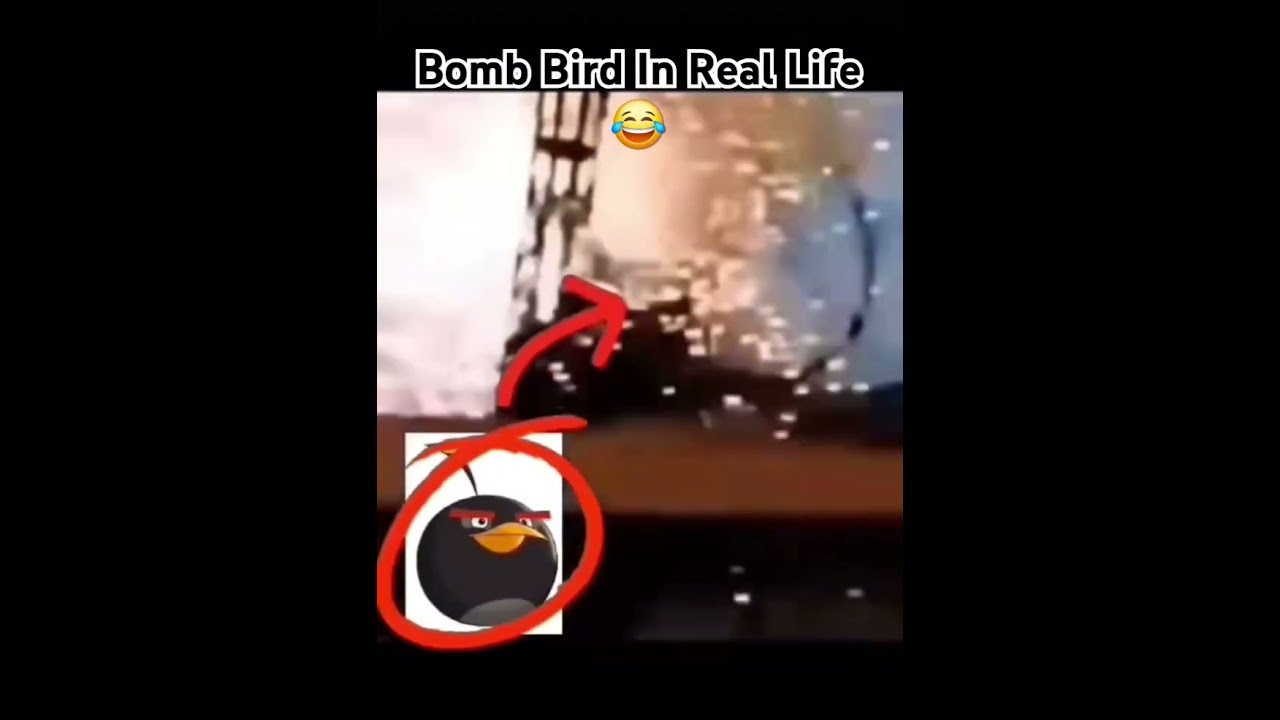 Bomb from Angry Birds in Real Life