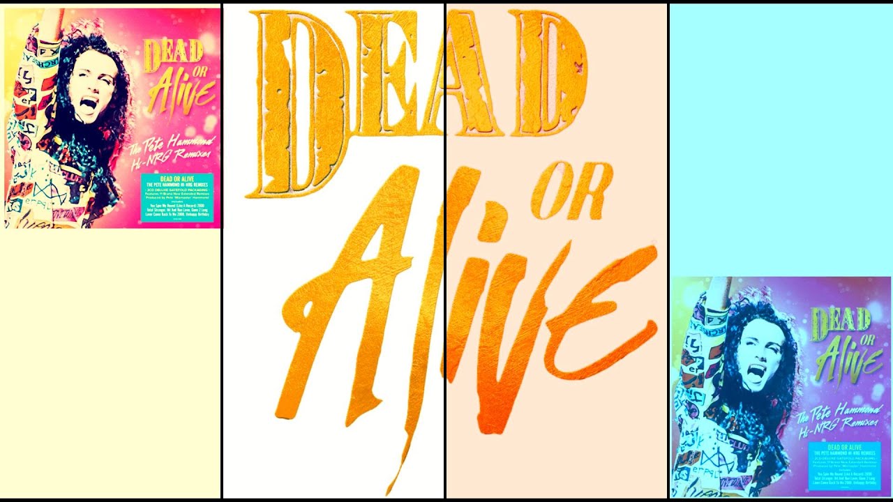 Dead or Alive - Gone 2 Long (REMASTERED VOCALS Pete Hammond Linn Lovers Edit)