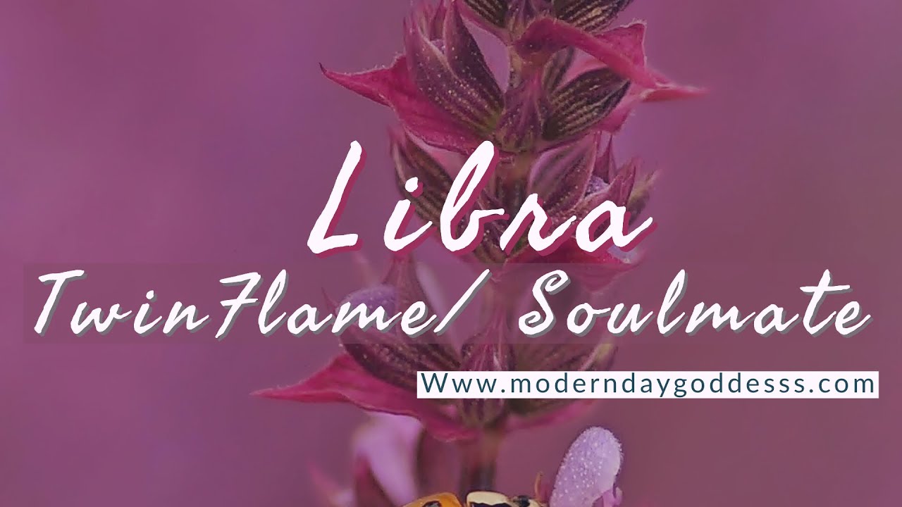 Libra TwinFlame/ Soulmate Reading: You Already Know They Aren&rsquo;t Honest 🌹 Beautiful Extended!