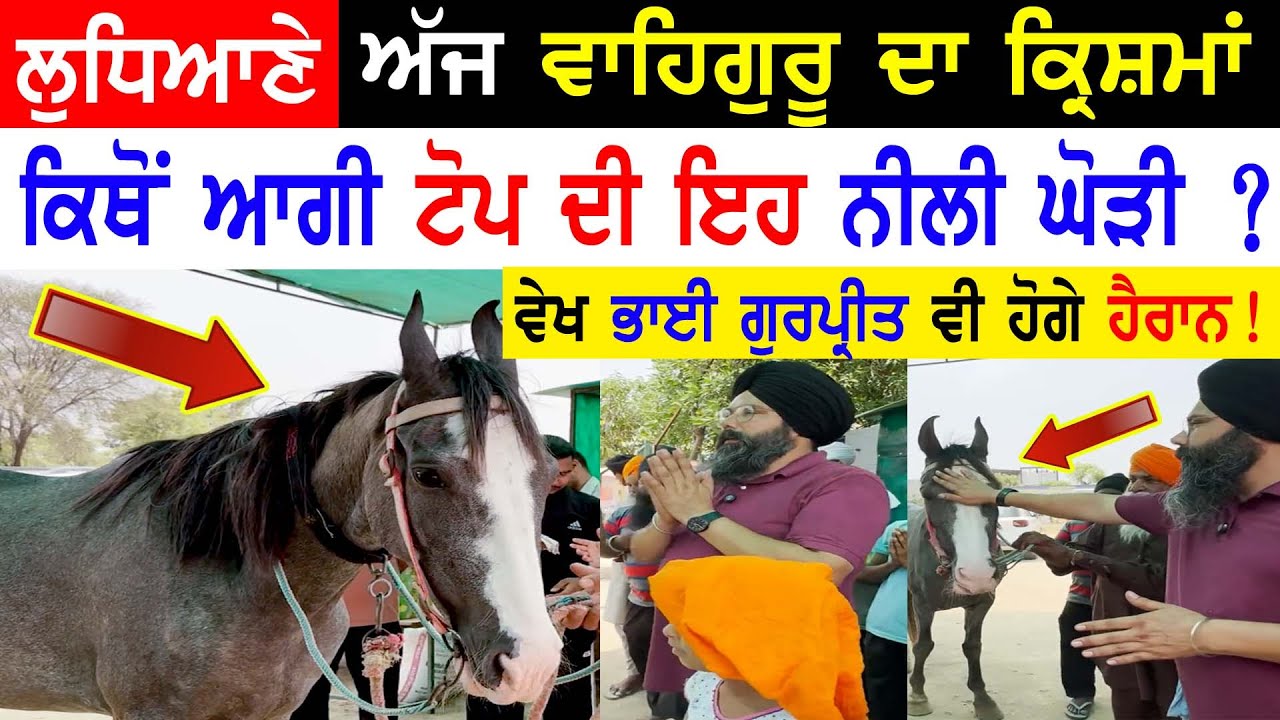 Manukhta Di Sewa Horse Reshma Hosting Bhai Gurpreet Singh Latest Punjabi TV Canada