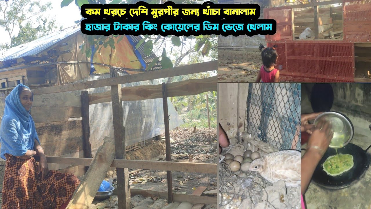  কম খরচে দেশি মুরগির ঘর বানালাম |Tha Paharer Chasi 