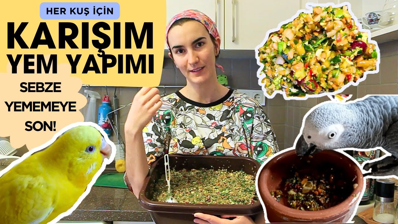 Papağanlar Ne Yer, Ne ile Beslenir | Papağan Yemi Hazırlama ve Nasıl Yapılır | Karışım Yapımı