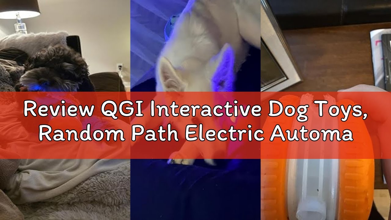 Review QGI Interactive Dog Toys, Random Path Electric Automatic Moving and Rolling Dogs Toy with Rop