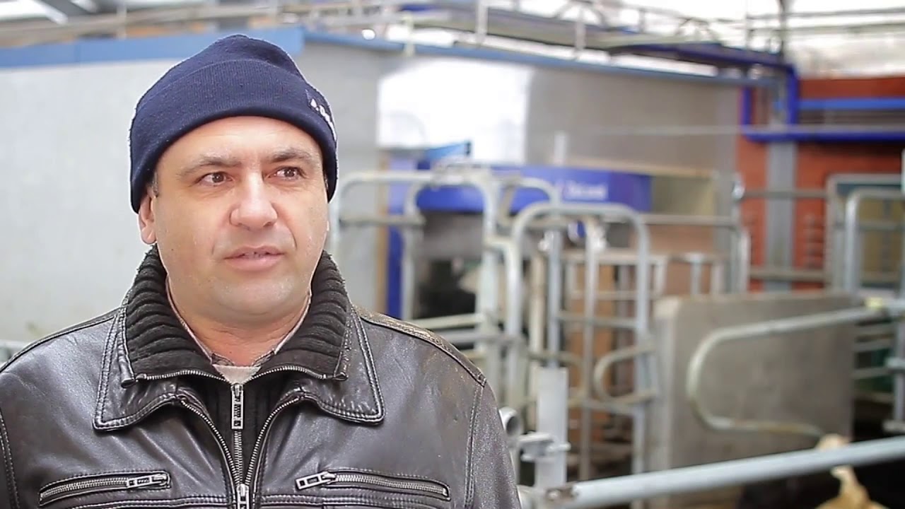 Робот-дояр® VMS™ DeLaval на ферме Терезино