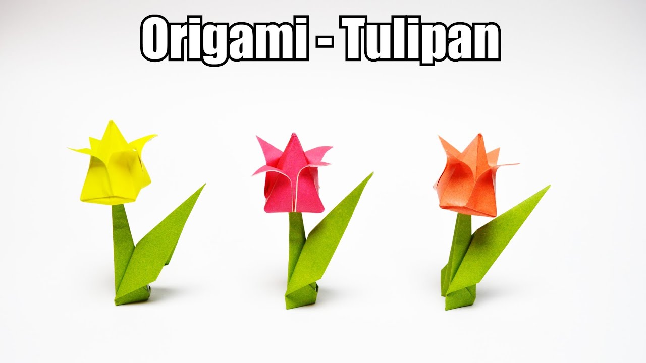 Origami - Tulipan (REMAKE)
